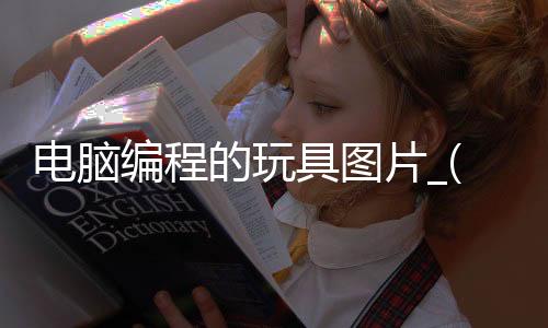 电脑编程的玩具图片_(电脑编程游戏软件叫什么名字)