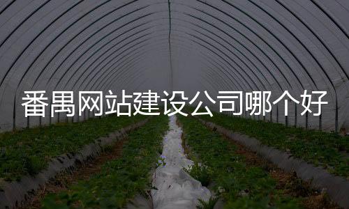 番禺网站建设公司哪个好(番禺做网站)