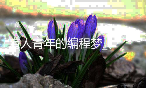 盲人青年的编程梦_(一个青年盲人的自述)