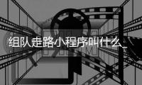 组队走路小程序叫什么_(组队走路小程序叫什么名字)
