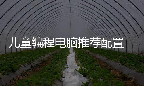 儿童编程电脑推荐配置_(儿童编程需要怎么样的电脑)