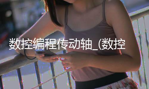 数控编程传动轴_(数控编程传动轴图片)
