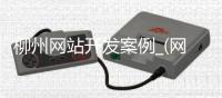 柳州网站开发案例_(网站开发公司创业策划)