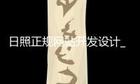 日照正规网站开发设计_(日照正规网站开发设计招聘信息)