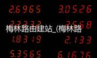 梅林路由建站_(梅林路由器设置ip)