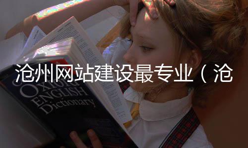 沧州网站建设最专业（沧州网站制作）