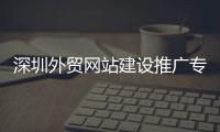 深圳外贸网站建设推广专家（深圳外贸网站制作）