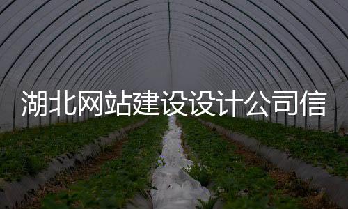 湖北网站建设设计公司信息（武汉网站建设公司平台）