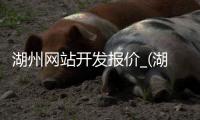 湖州网站开发报价_(湖州网络科技有限公司)