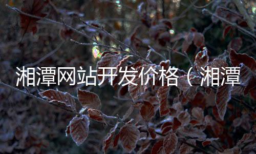 湘潭网站开发价格（湘潭本地网站）