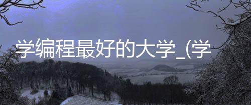 学编程最好的大学_(学编程最好的大学是哪个中国)
