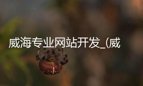威海专业网站开发_(威海网站设计itweihai)