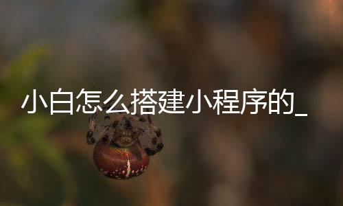 小白怎么搭建小程序的_(小白怎么搭建小程序的网页)