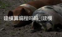 建模算编程吗吗_(建模难还是编程难)