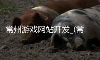 常州游戏网站开发_(常州游戏厅什么时候能开)