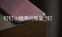 钉钉小程序问卷星_(钉钉群里工作怎样用问卷星)