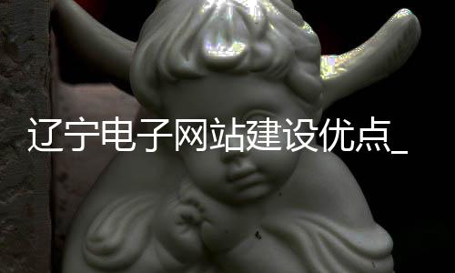 辽宁电子网站建设优点_(电子政务网站建设的过程主要有哪四个方面的基本工作)