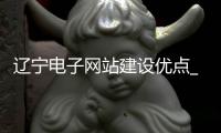 辽宁电子网站建设优点_(电子政务网站建设的过程主要有哪四个方面的基本工作)