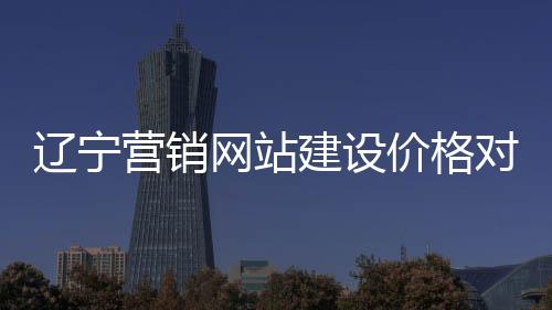 辽宁营销网站建设价格对比的简单介绍