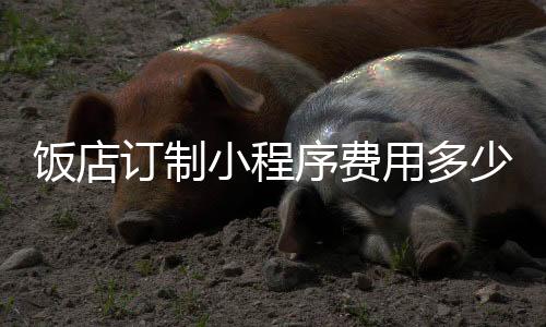 饭店订制小程序费用多少_(饭店小程序一般价格是多少)