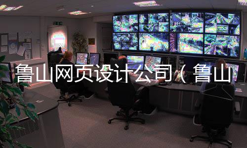 鲁山网页设计公司(鲁山网页设计公司招聘)